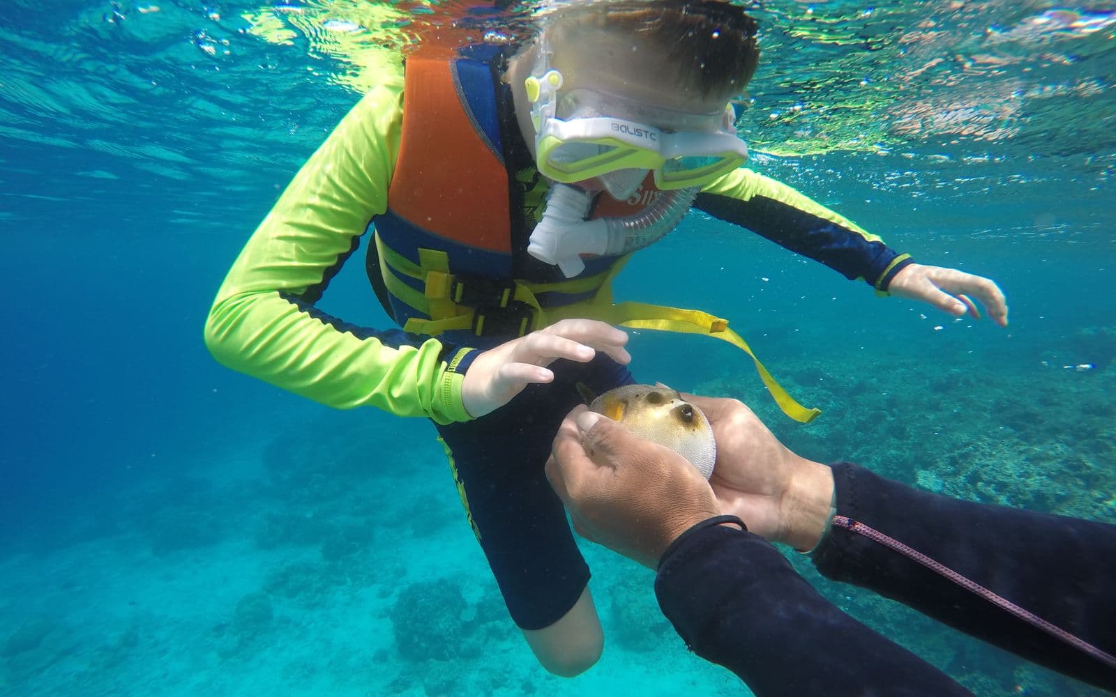 Cabo With Kids: A Family Travel Guide