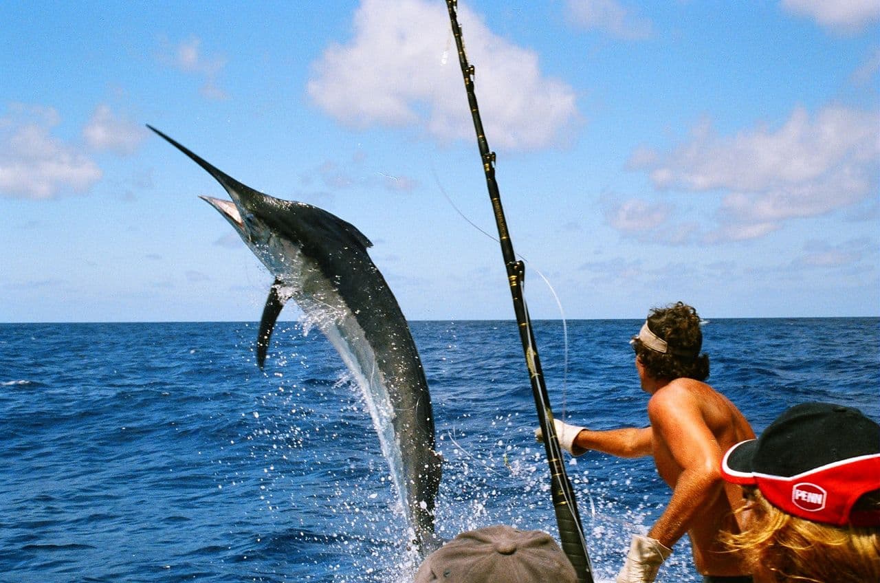 Cabo San Lucas Fishing Calendar: Best Time to Fish, Month by Month
