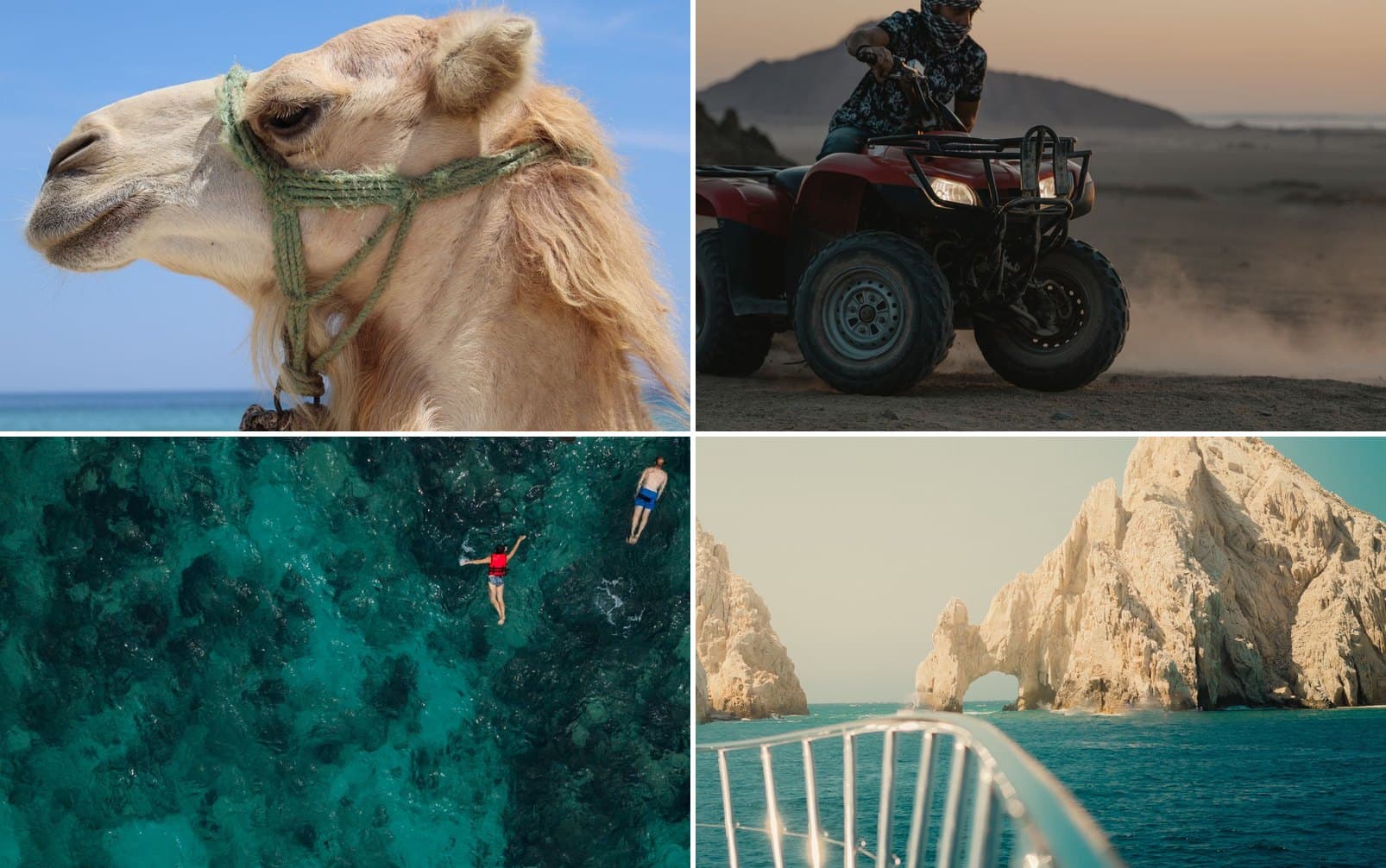 Things to Do in Cabo San Lucas: A First-Timer's Guide