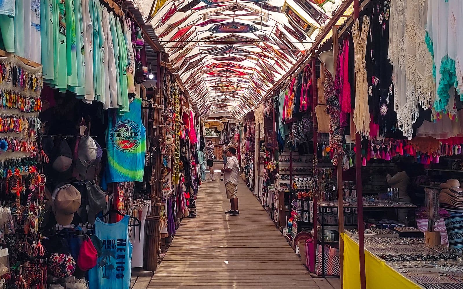 A Todos Santos Day Trip From Cabo